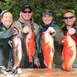 Meet your Posher, Gina